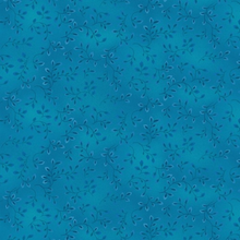 Load image into Gallery viewer, Folio Basics